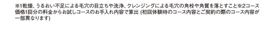 メンズ毛穴ケアコース