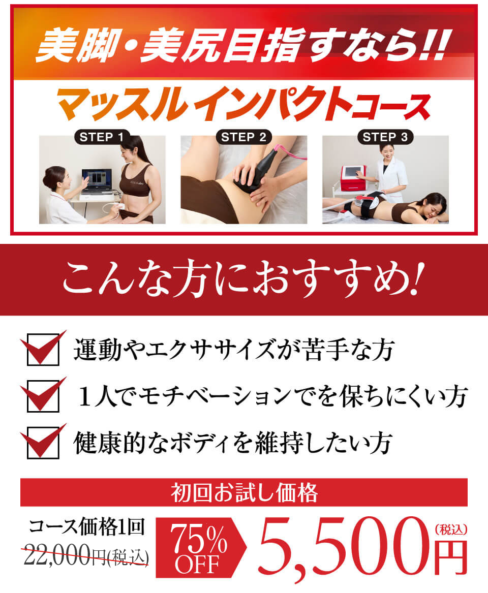 マッスルインパクトコース