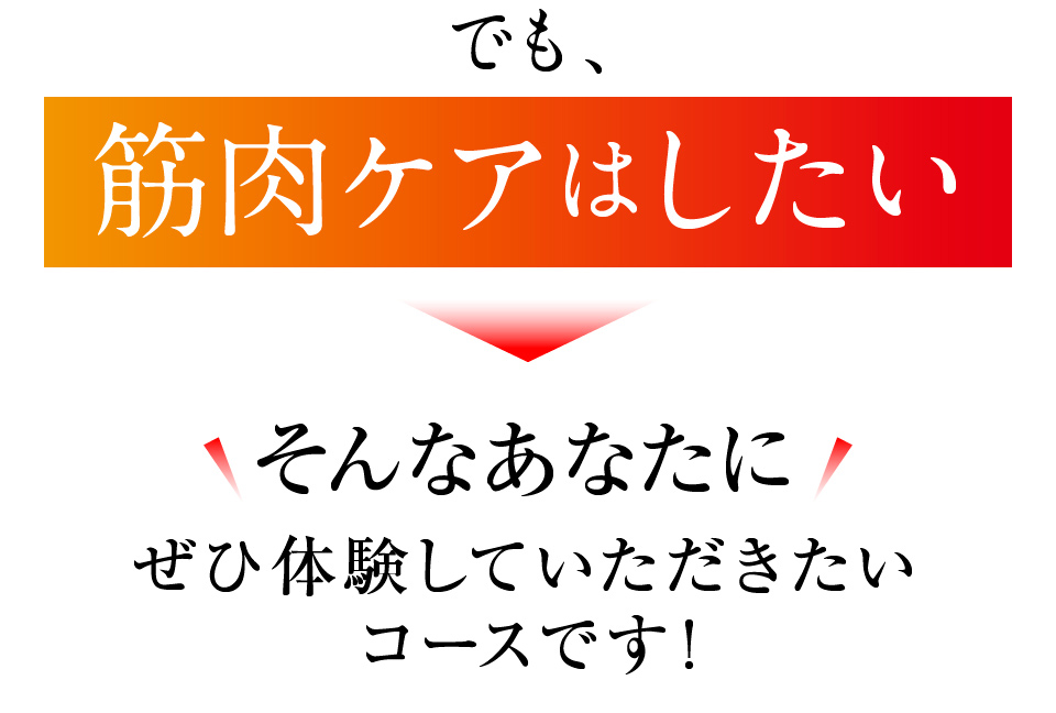マッスルインパクトコース