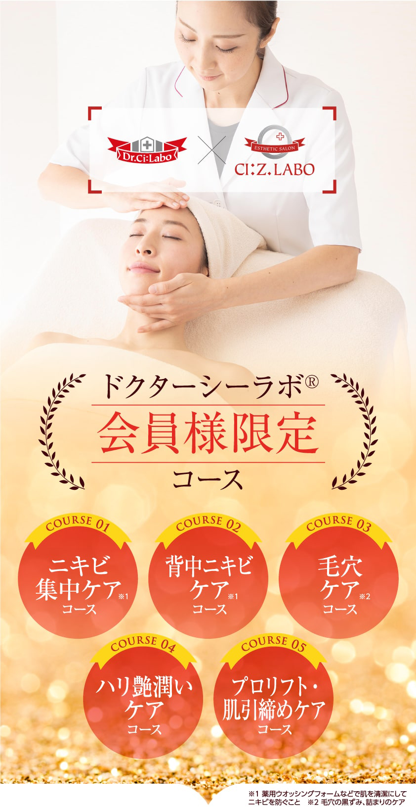 DCLコラボコース