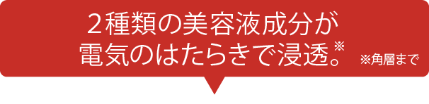 2種類の美容成分が電気のはたらきで浸透※角層まで