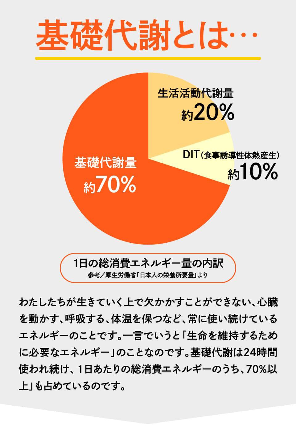 お腹徹底ボディメイクコース