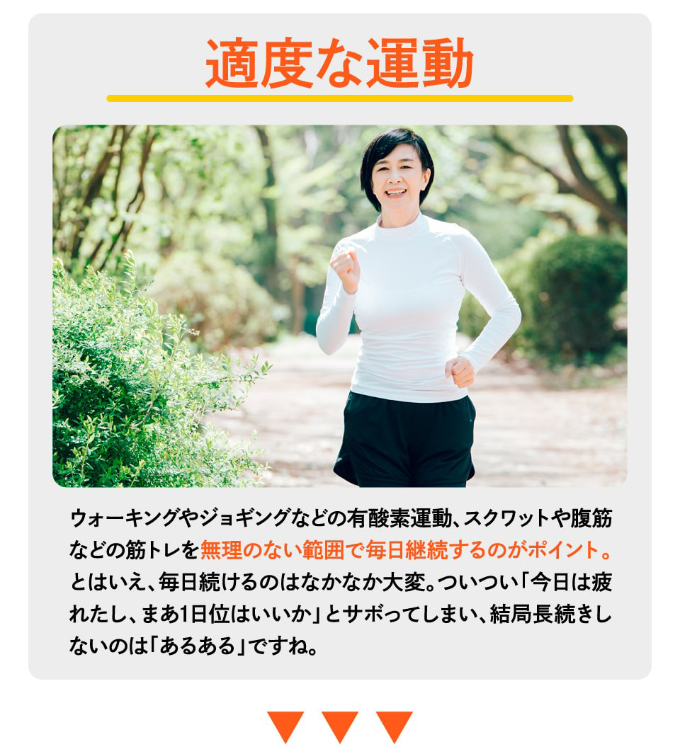 お腹徹底ボディメイクコース