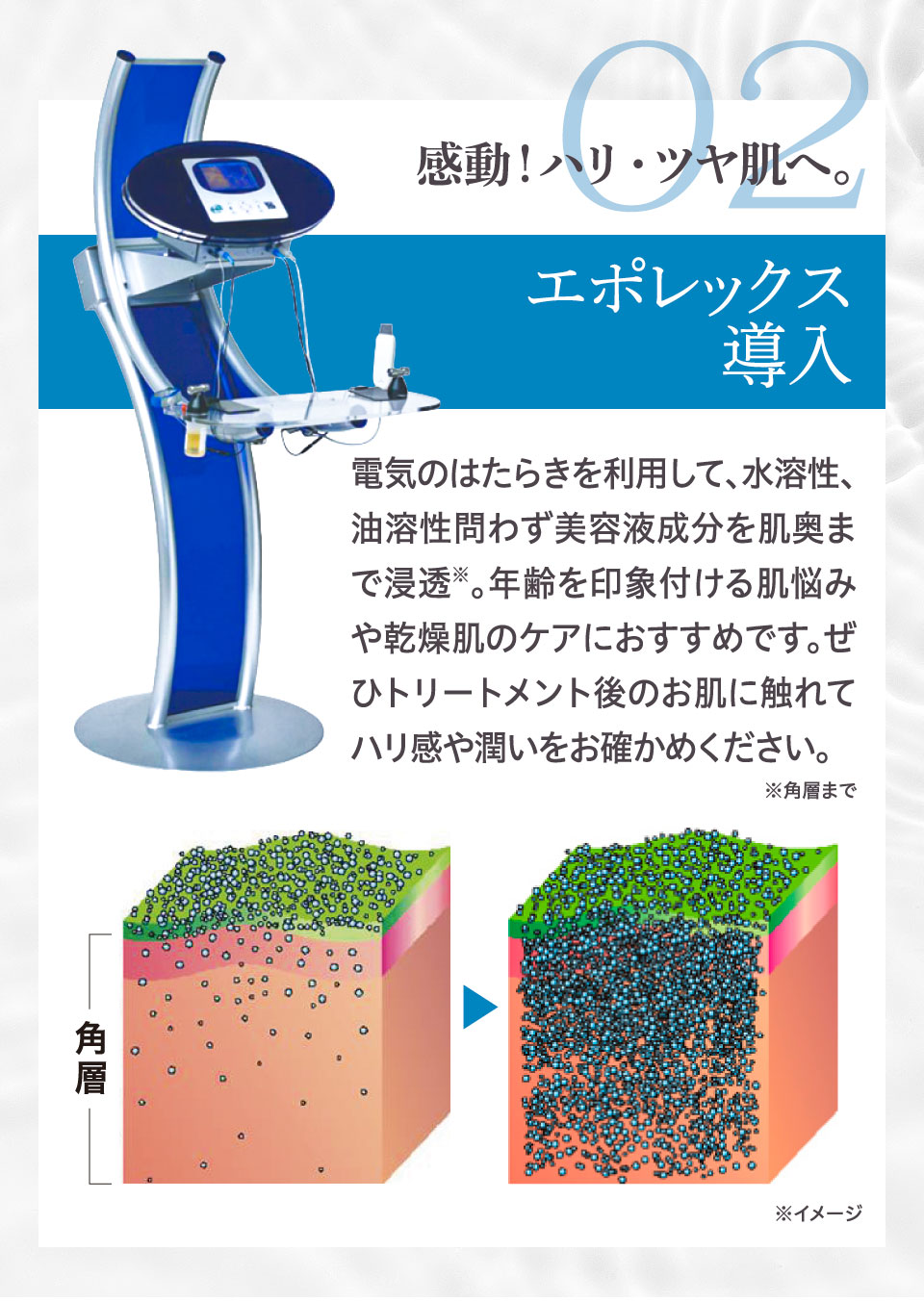 Wマシンリフトケアコース