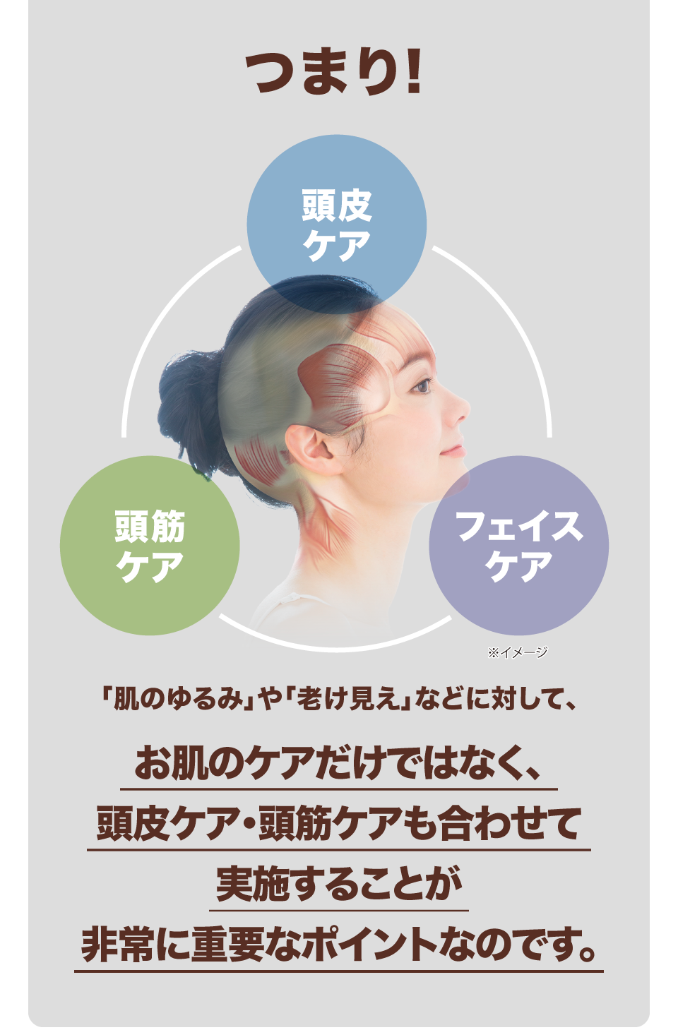 頭皮と顔の関係性